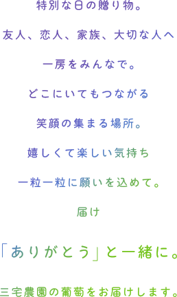 特別な日の贈り物。友人、恋人、家族、大切な人へ 一房をみんなで。どこにいてもつながる 笑顔の集まる場所。嬉しくて楽しい気持ち 一粒一粒に願いを込めて。届け 「ありがとう」と一緒に。三宅農園の葡萄をお届けします。