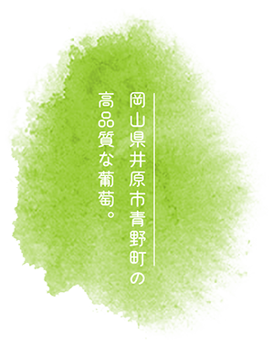 岡山県井原市青野町の高品質な葡萄